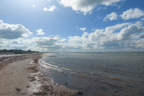 Photo of a tranquil shoreline with shallow water, seaweed on the sand, and clouds above near a lodge.