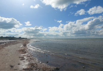Foto de una playa tranquila con agua poco profunda, algas en la arena y nubes cerca de una cabaña.