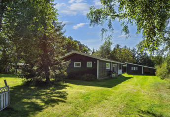 6-persoons vakantiehuis in Glesborg, Denemarken, omgeven door bomen en zonovergoten grasveld.