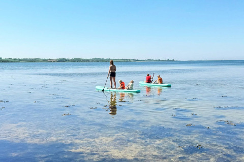 Menschen auf Paddleboards genießen einen sonnigen Tag im seichten Wasser bei Millinge, Dänemark.