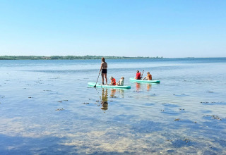 Mensen peddelen op paddleboards in ondiep water bij het 12-persoons vakantiehuis in Millinge, Denemarken.