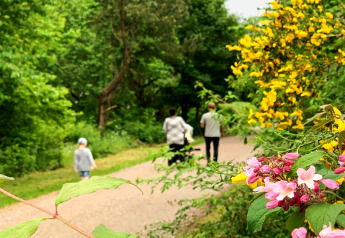 Sentier printanier fleuri près d'une maison de vacances 12 personnes à Millinge, Danemark, avec promeneurs.