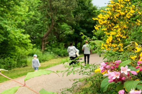 Lente wandelpad bij 12-persoons vakantiewoning in Millinge, Denemarken, met bloemen en wandelaars.