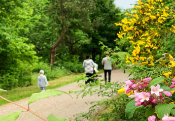 Lente pad bij 12-persoons vakantiehuis in Millinge, Denemarken, met bloemen, bomen en wandelaars.