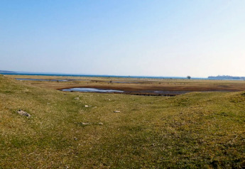 Prairies ouvertes et mares près du «Gîte 12 personnes à Millinge», Danemark, sous un ciel bleu dégagé.