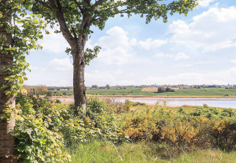 Uitzicht vanuit 12-persoons vakantiehuis in Millinge, Denemarken, met bomen, rivier en weilanden.