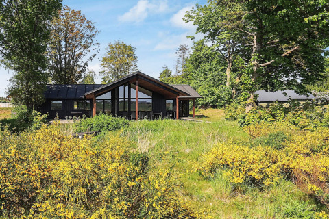 Sommerhus til 12 personer i Millinge, Danmark, omgivet af natur og grønne træer under en blå himmel.