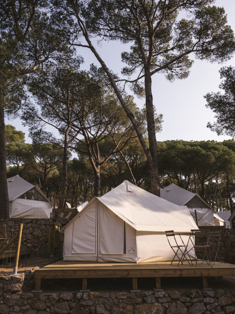 Bell-telt på en træterrasse i Wecamp Cala Montgó, Spanien, omgivet af fyrretræer i et skovmiljø.