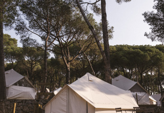 Bell-telt på en træterrasse i Wecamp Cala Montgó, Spanien, omgivet af fyrretræer i et skovmiljø.