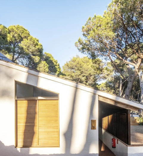 Hvid safari-inspireret Bell Tent ved Wecamp Cala Montgó, omgivet af høje fyrretræer og sollys i Spanien.