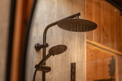 Douchekop in Wellness Duynzicht, Sandberghe, Nederland. Modern ontwerp met houten muur op de achtergrond.