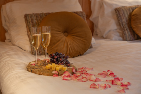 Romantic setup at Wellness Duynzicht, Sandberghe: champagne, cheese, grapes, and rose petals on a bed.