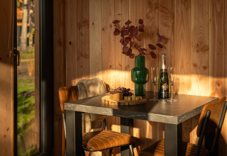 Zonnig hoekje in Wellness Duynzicht in Sandberghe, Nederland met wijn, glazen, kaas en groene vaas op tafel.