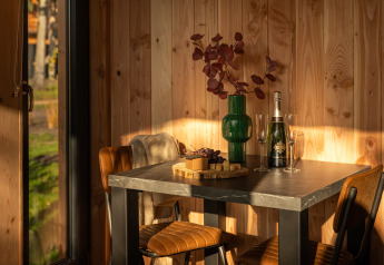 Zonnig hoekje in Wellness Duynzicht in Sandberghe, Nederland met wijn, glazen, kaas en groene vaas op tafel.