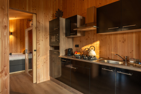 Modern lodge kitchen with black cabinets and wood paneling at Wellness Duynzicht, Sandberghe, Netherlands.