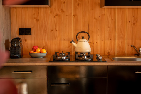 Cucina di una lodge moderna con bollitore, fruttiera, macchina da caffè e lavello al Wellness Duynzicht, Sandberghe.
