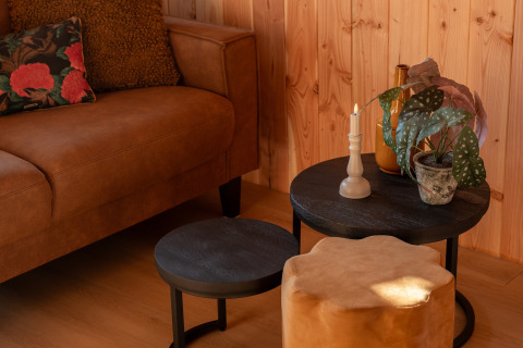 Gemütlicher Wohnbereich in der Wellness Duynzicht Lodge mit braunem Sofa, Pflanzen und Kerze in Sandberghe.