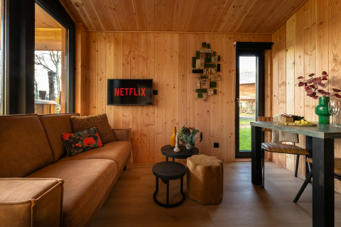 Modern lodge living room at Wellness Duynzicht in Sandberghe, Netherlands, with wood walls, sofa and Netflix TV.