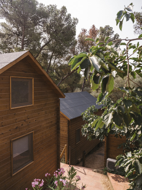Bungalow dúplex de madera en Wecamp Cala Montgó, España, rodeado de árboles verdes y plantas florecientes.