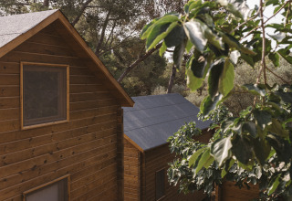 Bungalow dúplex de madera en Wecamp Cala Montgó, España, rodeado de árboles verdes y plantas florecientes.