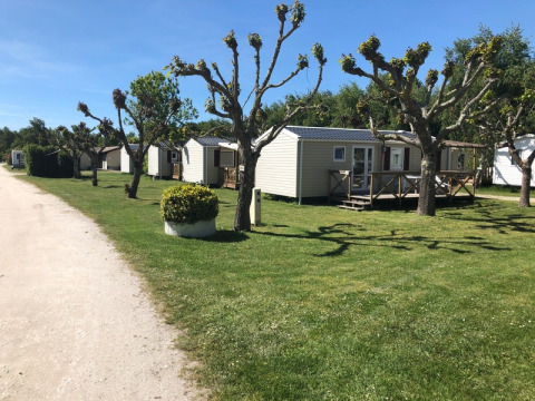 Case mobili e alberi potati nel campeggio Les Franquettes, Nouvelle-Aquitaine, Francia, in una giornata soleggiata.