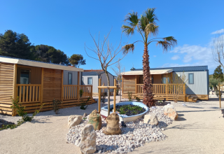 Casette di legno moderne e palme al campeggio Les Tamaris nella regione Provence-Alpes-Côte d’Azur, Francia.