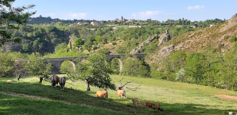Prato verde con mucche, alberi e viadotto di pietra a Ushuaïa Villages Le Viaduc, Auvergne-Rhône-Alpes, Francia.
