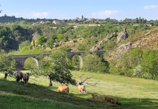 Prato verde con mucche, alberi e viadotto di pietra a Ushuaïa Villages Le Viaduc, Auvergne-Rhône-Alpes, Francia.