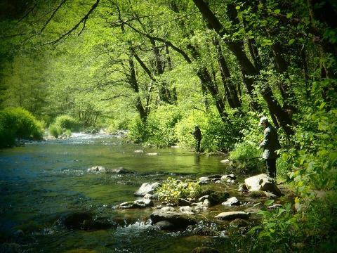 Two people fly fishing by a scenic forest river near Arlebosc in the Auvergne-Rhône-Alpes region of France.