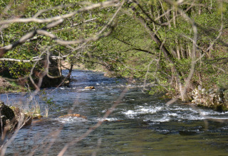 River flowing through lush trees at Ushuaïa Villages Le Viaduc Campsite in Auvergne-Rhône-Alpes, France.