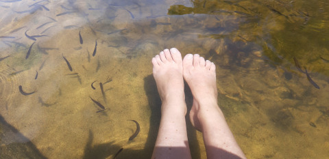 Feet immersed in clear water with small fish at Ushuaïa Villages Le Viaduc campsite in Auvergne-Rhône-Alpes, France.