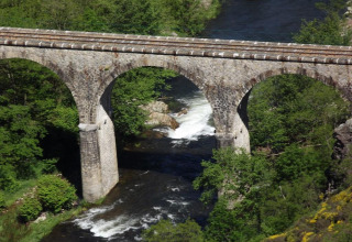 Ponte di pietra su un fiume circondato da alberi verdi vicino ad Arlebosc, Auvergne-Rhône-Alpes, Francia.