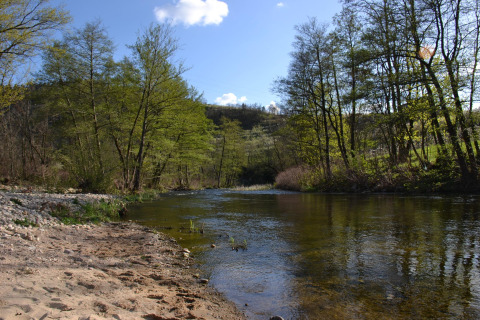 Fiume sereno con riva sabbiosa e alberi verdi a Ushuaïa Villages Le Viaduc, Auvergne-Rhône-Alpes, Francia.