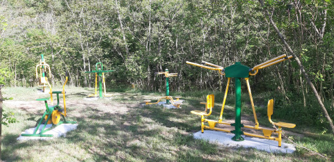 Outdoor exercise equipment on grass, surrounded by trees, at a holiday park fitness area in France.