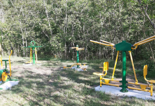 Outdoor exercise equipment on grass, surrounded by trees, at a holiday park fitness area in France.