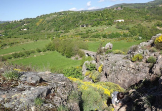 Bambino che scala le rocce tra campi verdi al campeggio Ushuaïa Villages Le Viaduc, Francia.