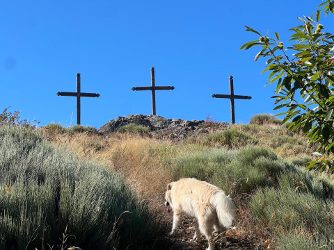 A dog climbs a grassy hill with three crosses on top under blue sky at Ushuaïa Villages Le Viaduc, France.