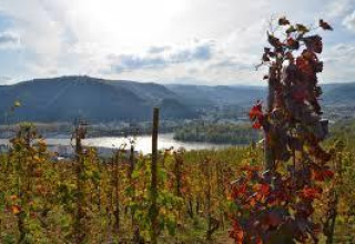 Vigneti con montagne e fiume al campeggio Ushuaïa Villages Le Viaduc in Auvergne-Rhône-Alpes, Francia.