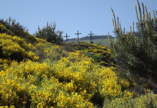 Tre croci su una collina circondata da fiori gialli presso Ushuaïa Villages Le Viaduc, Auvergne-Rhône-Alpes, Francia.
