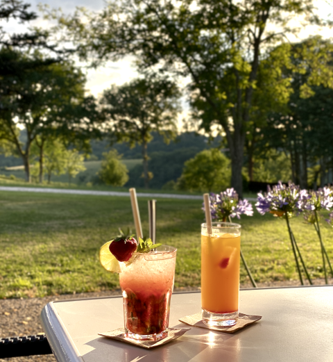 Two colorful cocktails on a table in evening sunlight overlooking fields at La Nouvelle Croze campsite, France.