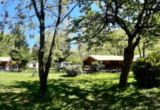 Træhytter i solrigt skovområde på Campsite Ushuaïa Villages Le Viaduc i Frankrig, omgivet af grøn natur.