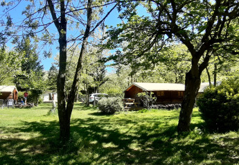 Træhytter i solrigt skovområde på Campsite Ushuaïa Villages Le Viaduc i Frankrig, omgivet af grøn natur.