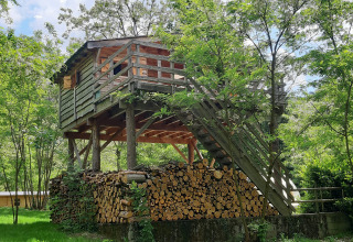 Cabane en bois sur pilotis entourée d’arbres verts avec des bûches en dessous, au camping Ushuaïa Villages Le Viaduc.