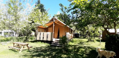 Safaritent Jungle Lodge op Camping Ushuaïa Villages Le Viaduc in Frankrijk, omgeven door bomen en gras.