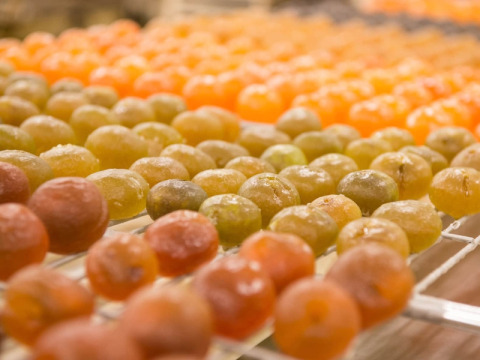 Des fruits confits qui sèchent sur des grilles au camping Le Luberon, un parc de vacances en Provence-Alpes-Côte d’Azur, France.