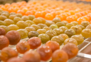 Des fruits confits qui sèchent sur des grilles au camping Le Luberon, un parc de vacances en Provence-Alpes-Côte d’Azur, France.