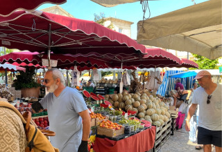 Des gens achètent des fruits frais sur un marché animé d'Apt, Provence, sous des auvents rouges.