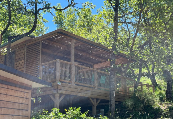 Casa sull’albero Cottage «Séouvo» al Campeggio Le Luberon in Francia, immersa tra alberi e natura.
