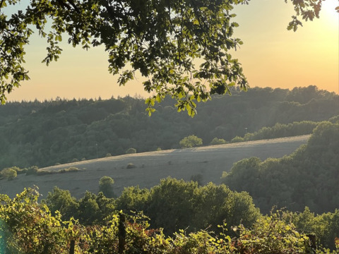 Vista de colinas verdes y bosque al atardecer desde Lodge on stilts en Campsite La Nouvelle Croze, Francia.