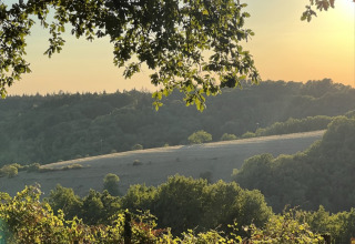 Vue sur les collines verdoyantes et la forêt au coucher du soleil depuis Lodge on stilts à La Nouvelle Croze, France.